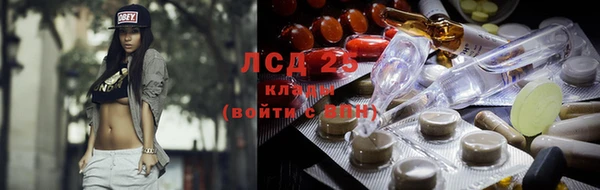 крисы Баксан