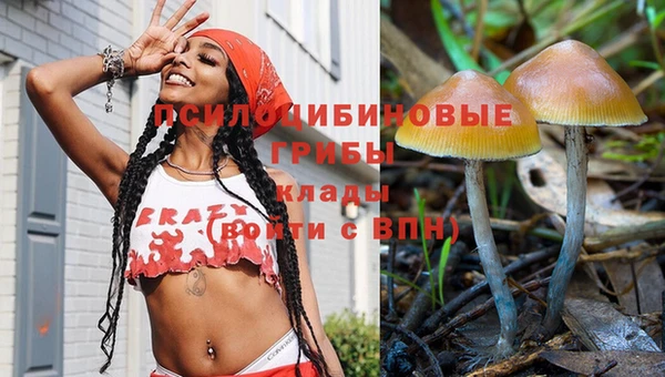 крисы Баксан