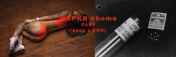 крисы Баксан