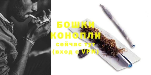 крисы Баксан