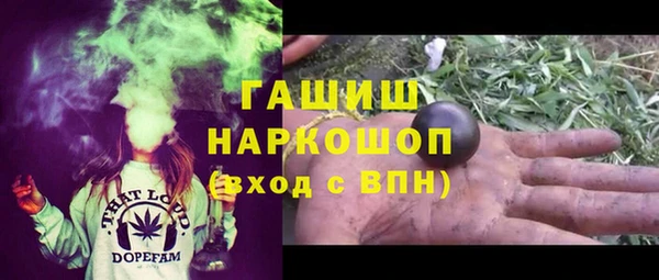 крисы Баксан